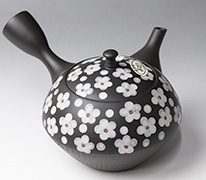 Tokoname kyusu teapot by Hokuryu