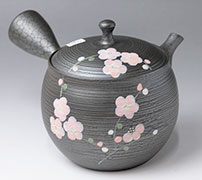 Tokoname kyusu teapot